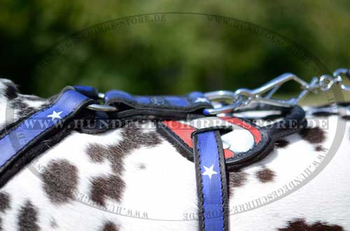 Dalmatian Harness of Leather