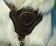 Buy golden retriever harness leather