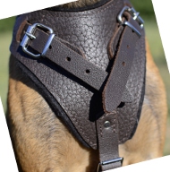 Leather Harness for Rhodesian Ridgeback in Protection Style