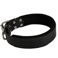 Lederhalsband gepolstert mit Filz, 4 cm Lederhalsband gepolstert mit Filz, 4 cm