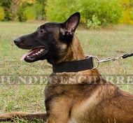 Hundehalsband für Schäferhund, extra breit für Malinois! Hundehalsband für Schäferhund, extra breit für Malinois!