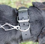 Hundehalsband für Sennenhund mit weicher Polsterung Hundehalsband für Sennenhund mit weicher Polsterung
