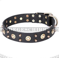 Exklusives Halsband vom Echtleder 'Mystic' Exklusives Halsband vom Echtleder 'Mystic'