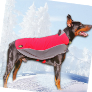 Nylon Hundemantel für Dobermann, wasserdicht❅ Nylon Hundemantel für Dobermann, wasserdicht❅