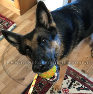 Hundeball aus Gummi für Schäferhund Hundeball aus Gummi für Schäferhund