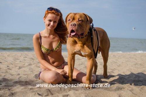 Hundestrand. Liste für Deutschland