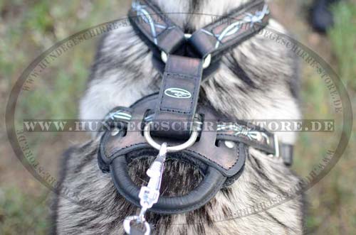 Husky Harness Leather