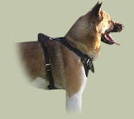 Agitation/Protection Dog Harness for Husky breed