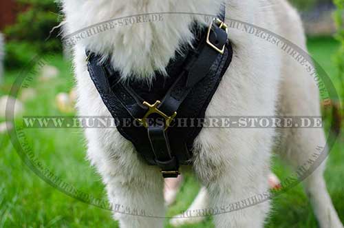 Leather Harness for Husky