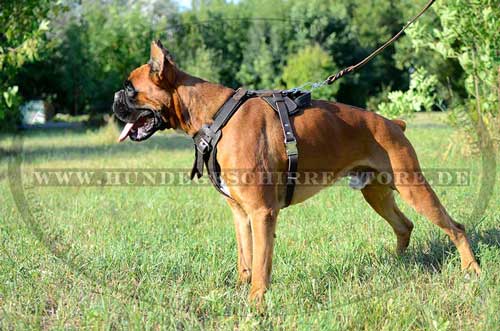 Agitation Dog Harness for German Boxer 