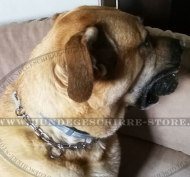 Kette Halsband für großen Mastiff von Herm Sprenger Kette Halsband für großen Mastiff von Herm Sprenger