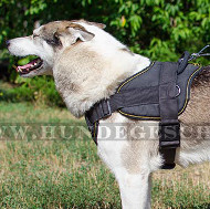 Laika Geschirr Nylon Universell | Hundegeschirr Multifunktional