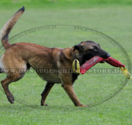 Lange Beißwurst für großen Hund Malinois