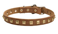 25mm Hundehalsband aus Leder mit quadratischen Nickelnieten 25mm Hundehalsband aus Leder mit quadratischen Nickelnieten