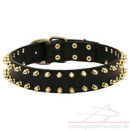 Buy Leather Dog Collar Spikes