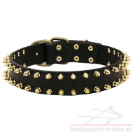 hundehalsband leder spikes kaufen