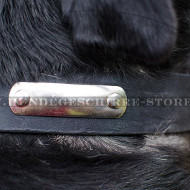 Sennenhund Halsband mit Namen-Platte Sennenhund Halsband mit Namen-Platte