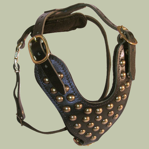 Studded Harness for Dogs 