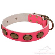 Leather Collar pink buy