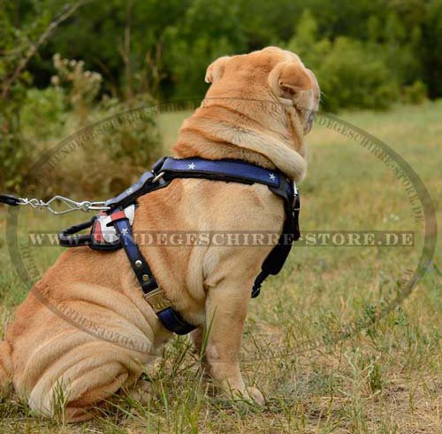 Dog Training Harness for Sharpei