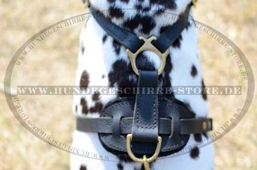 Light Walking Dog Harness for Dalmatian 