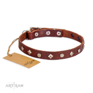 Enges Halsband Braunes Leder mit Sternchen und Karos Nieten