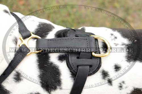 Walking Harness for German Mastiff 