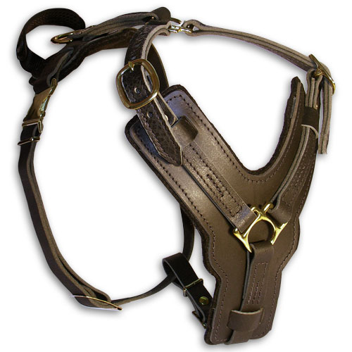 Padded Dog Harness Leather 