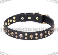 Luxus Hundehalsband aus Leder "Pirate Skulls" Luxus Hundehalsband aus Leder "Pirate Skulls"