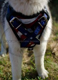 Hunde
Geschirr Leder bemalt alaskan malamute kaufen