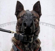 Malinois-Amstaff Maulkorb geschlossen