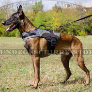 Malinois Tragegeschirr Nylon | Hundegeschirr Warm Gepolstert
