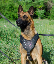 Hundegeschirr mit Pyramiden | Malinois Hunde Geschirr Leder Hundegeschirr mit Pyramiden | Malinois Hunde Geschirr Leder