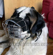 Drahtmaulkorb Bruchfest mit Lederriemen für Bernhardshund