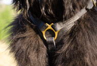 Newfoundland Harness Leather | Lightweight Padded Dog Harness