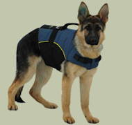 Nylon Hundegeschirr mit extra Griff für Deutschen Schäferhund Nylon Hundegeschirr mit extra Griff für Deutschen Schäferhund