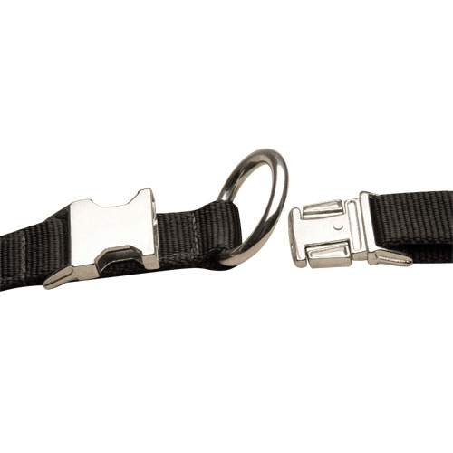 nylon  dog collar for all dog sizes