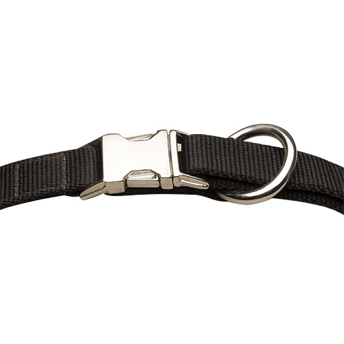 nylon  dog collar for all dog sizes