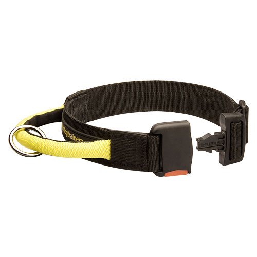 Nylon Collar with Handle and Click Buckle