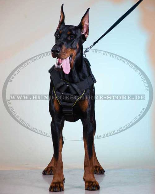 Power Training Harness for Doberman Pinscher 