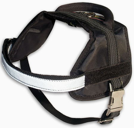 Best Dog Harness for Dog Sport