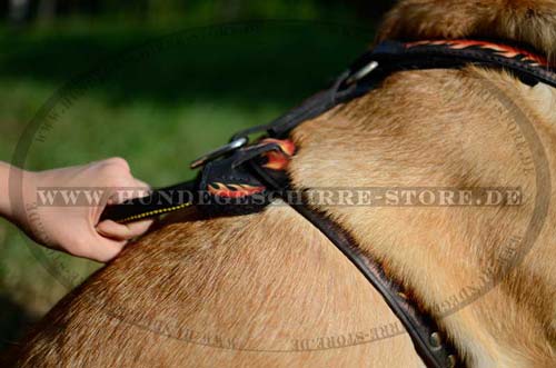 Retriever Harness Leather