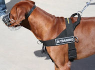 Hundegeschirr aus Nylon K9 für Allwetter, Rhodesian Ridgeback Hundegeschirr aus Nylon K9 für Allwetter, Rhodesian Ridgeback