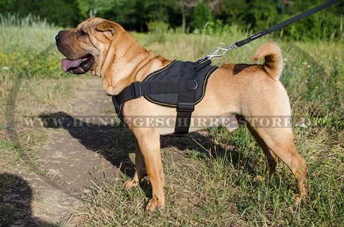 nylon geschirr hund Shar Pei neu