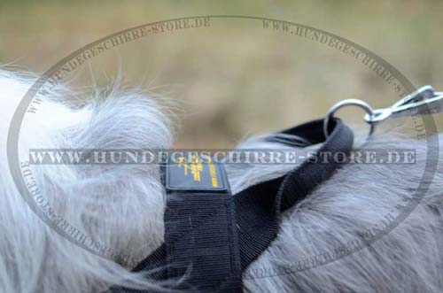 South Russian Shepherd Harness, Pulling Harness