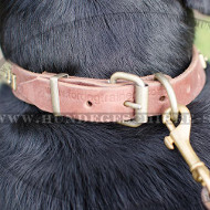 Sennenhund Halsband mit Nieten für Hundeauslauf (25 mm) Sennenhund Halsband mit Nieten für Hundeauslauf (25 mm)