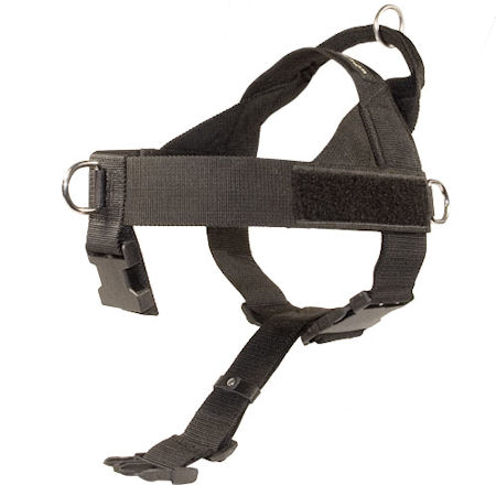 removable between front legs strap for the ultimate control 
