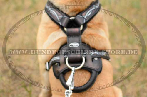 Padded Leather Harness for Shar-Pei with Handle 