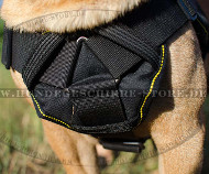 Buy Sharpei harness made of nylon