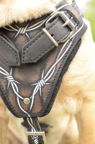 Hundegeschirr Leder für Shar Pei mit Draht-Bemalung